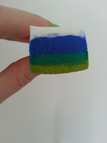 My Sponge Colors